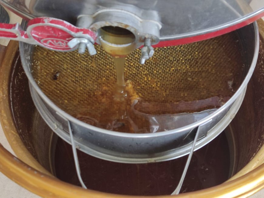 Alcaldía de Tarija continúa impulsando la producción de miel y la actividad apícola