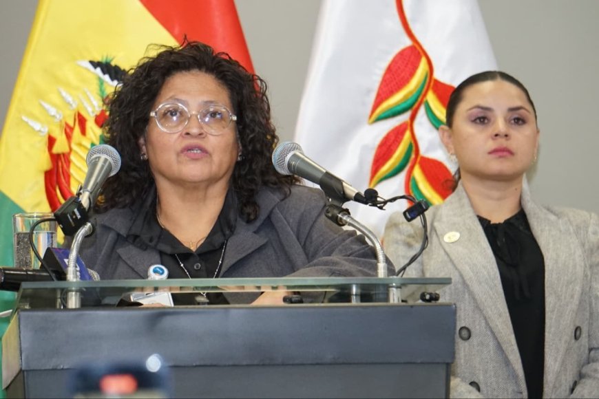 Bolivia declara alerta epidemiológica nacional por influenza H3N2