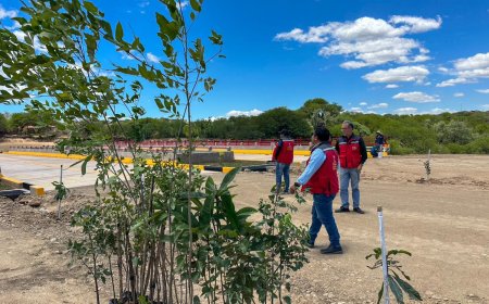 Alcaldía de Tarija inicia arborización de la 2da Circunvalación
