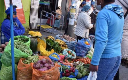 Bolivia registró en 2025 una inflación de 20,40%