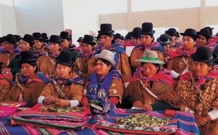 La representante de las Bartolinas Sisas, Olga Rojas, se refirió al préstamo anunciado por el Banco Interamericano de Desarrollo (BID)