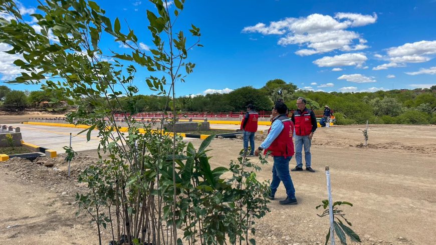 Alcaldía de Tarija inicia arborización de la 2da Circunvalación