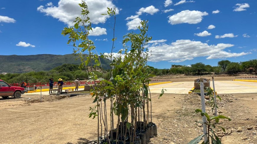 Alcaldía de Tarija inicia arborización de la 2da Circunvalación