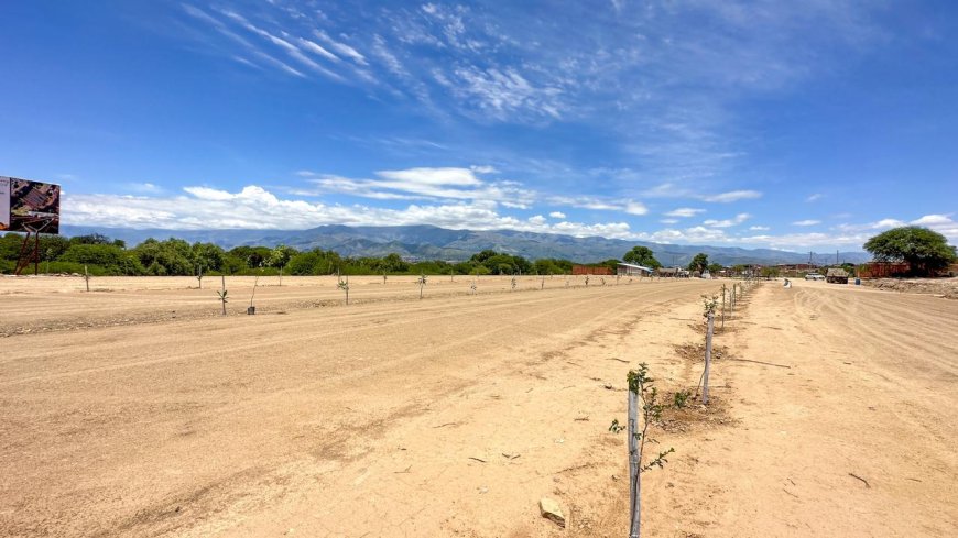 Alcaldía de Tarija inicia arborización de la 2da Circunvalación