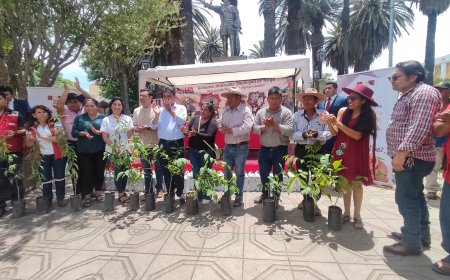 Alcalde de Tarija entrega plantines de nogal, manzana y durazno para mejorar la producción agrícola