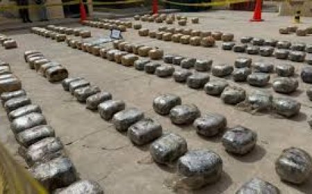 Hallan 203 paquetes con marihuana y 60 millones de pesos chilenos en vehículo abandonado en Pisiga