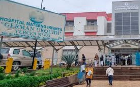 Informan la muerte fetal de gestante con chikungunya en la ciudad de Cochabamba