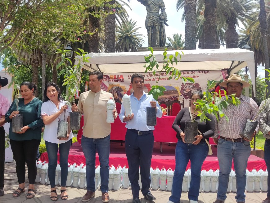 Alcalde de Tarija entrega plantines de nogal, manzana y durazno para mejorar la producción agrícola