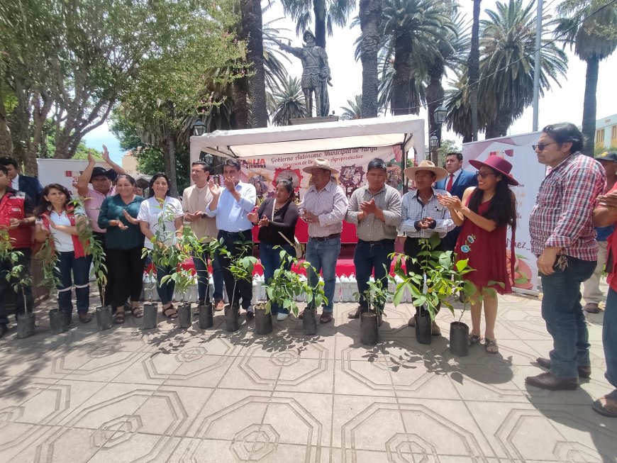 Alcalde de Tarija entrega plantines de nogal, manzana y durazno para mejorar la producción agrícola