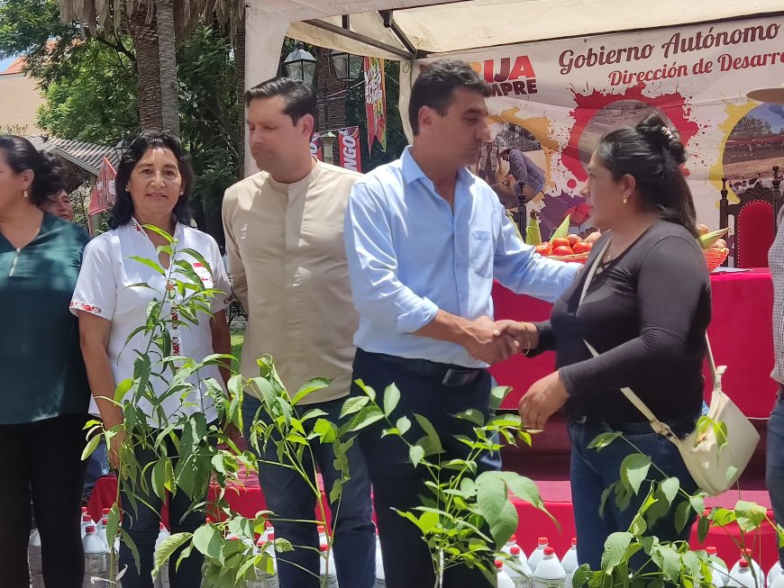 Alcalde de Tarija entrega plantines de nogal, manzana y durazno para mejorar la producción agrícola
