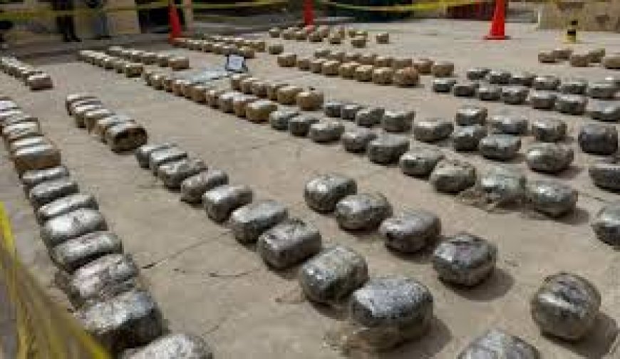 Hallan 203 paquetes con marihuana y 60 millones de pesos chilenos en vehículo abandonado en Pisiga