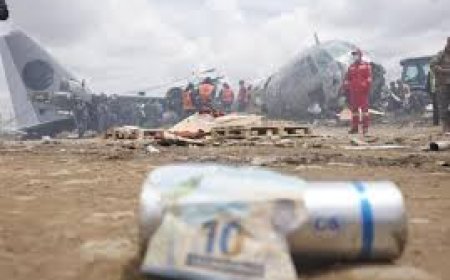 Enviaron a la cárcel a un aproximado de 19 personas por robo de billetes tras el accidente aéreo